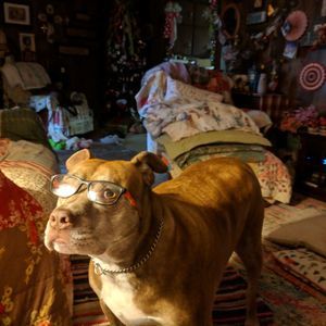 Meet your Posher, Sheila